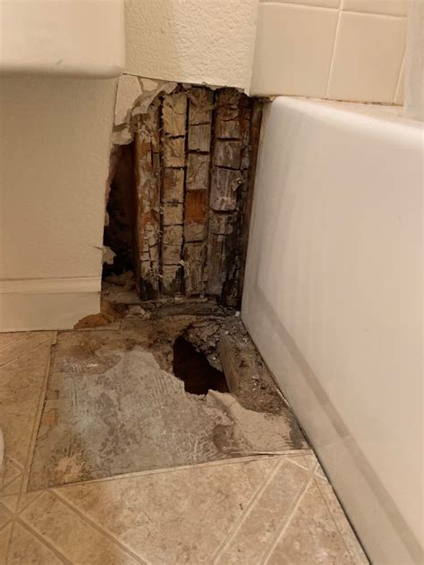 tub leaking through ceiling|My Bathtub Is Leaking Through the Ceiling!